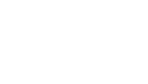 iDL white logo